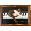 Музыкальный котенок